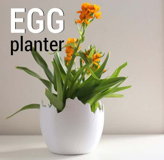 Blumentopf "Eierschale" - Ein Highlight für Ihre Pflanzen!